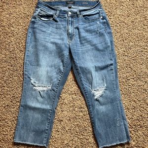 Women’s Judy Blue Skinny Fit Capri Jeans Size 14W IL:A
